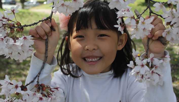 여자아이가 벚꽃들 사이에서 벚꽃이 활짝 피어있는 벚나무의 가지를 잡으며 환하게 웃고 있다