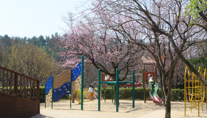 벚꽃이 피어있는 놀이터에서 아이들이 미끄럼틀을 타면서 놀고 있는 모습을 멀리서 찍은 사진이다
