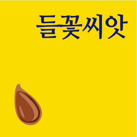 들꽃씨앗반