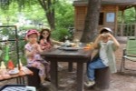 유치원 숲의 사계절의 변화를 여러 감각(색, 향기, 촉감 등)으로 느껴보고 풀과 나무, 시원한 바람, 곤충과 친구가 되어 다양한 모험을 할 수 있는 공간