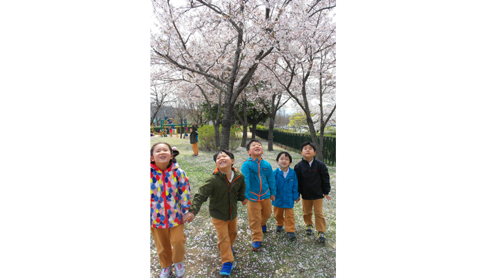 아이들이 손을 잡고 활짝 피어있는 벚꽃들을 올려다보며 걷고 있다
