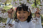 여자아이가 벚꽃들 사이에서 벚꽃이 활짝 피어있는 벚나무의 가지를 잡으며 환하게 웃고 있다